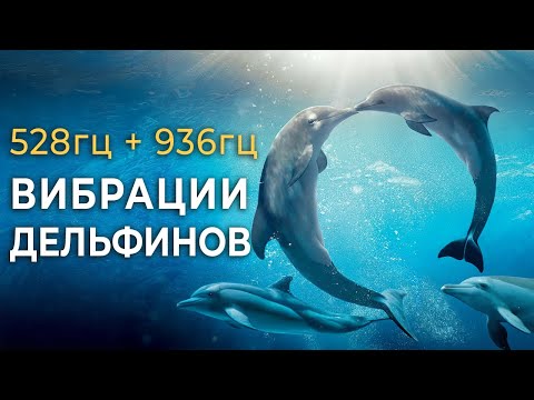 Видео: 528гц + 936гц Исцеляющее Пение Дельфинов для Восстановления Энергии, Снятия Стресса и Глубокого Сна💤
