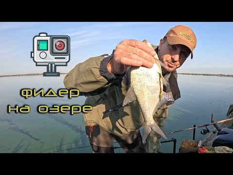Видео: Рыбалка на фидер на озере. Разбираюсь с капризной рыбой