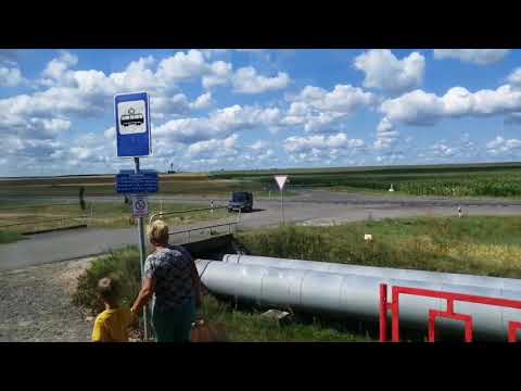 Видео: Мозырский трамвай: через леса и поля