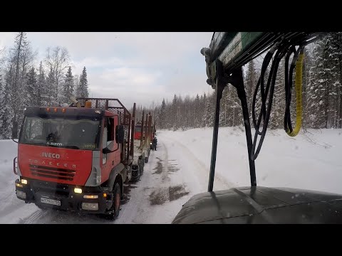 Видео: Опять еду на Ваю. Урал лесовоз.