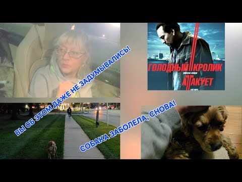 Видео: ОСТОРОЖНО-КРОЛИКИ ГОЛОДНЫЕ ПОВСЮДУ!РАЗБОР ФИЛЬМА//ПОЧЕМУ Я ПЛАКАЛА//БУСИК-НАС КТО ТО ГЛАЗИТ???