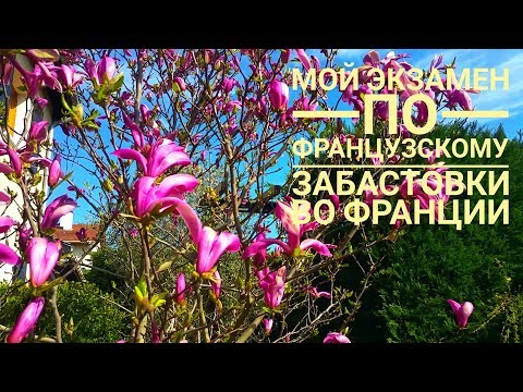 Видео: СДАЧА ЭКЗАМЕНА ПО ФРАНЦУЗСКОМУ, ЗАБАСТОВКИ