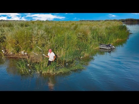 Видео: ТУТ  ТОЛЬКО КРУПНЯК! Что за место такое? Рыбалка на реке ИЛИ! 5 дней на реке САЗАН АМУР ЧАСТЬ 2