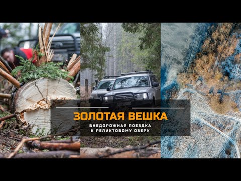 Видео: Экстремальный маршрут к озеру Золотая вешка