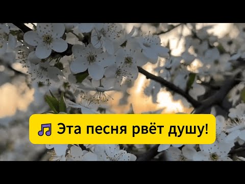 Видео: От Ее Голоса Замирает Сердце!!💗 Вот Эта Песня!! Бабье лето