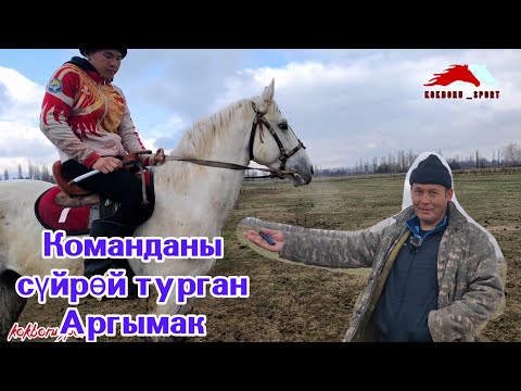 Видео: Кокбору мектебинин Аргымагы ( Малыш) сатууга чыкты 👆 Тел: +996704228178.