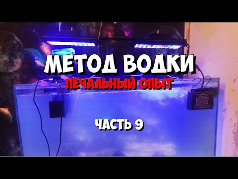 Видео: Часть 9 | Метод водки в аквариуме
