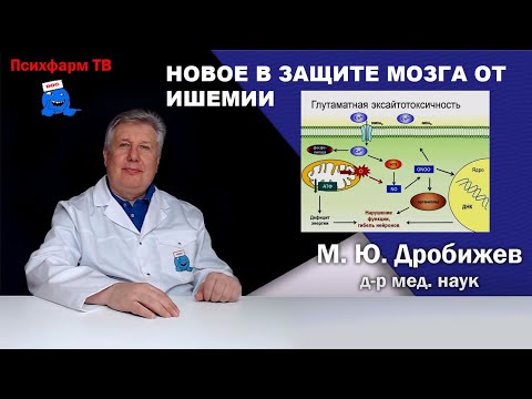 Видео: Новое в защите мозга от ишемии.