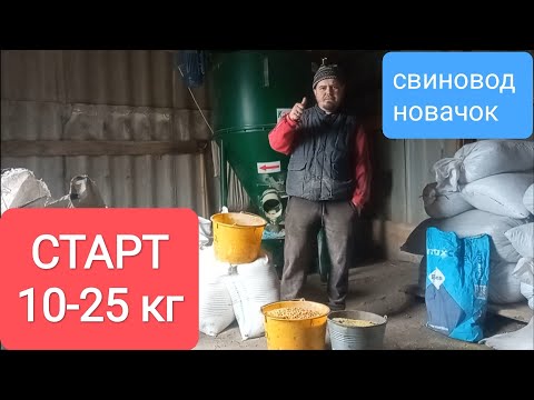 Видео: СТАРТ для поросят, комбікорм. 10-25КГ. Відгодівля свиней. Свиноводство.