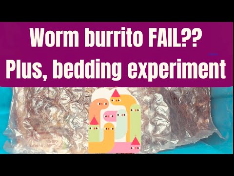 Видео: Буррито с червями НЕ УДАЛОСЬ?! Плюс экспериментальная подстилка из червей!