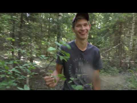 Видео: Сходили в лес ПО ГРИБЫ и искупались в ЛЕДЯНОЙ ВОДЕ с ПРЕДАННОЙ СОБАКОЙ!