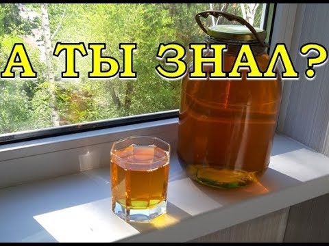 Видео: Домашнее ЯБЛОЧНОЕ ВИНО. Пошаговый рецепт👍👍👍