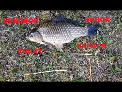 Видео: ЛОВЛЯ КАРАСЯ на БОКОВОЙ КИВОК! Тест боковых кивков, рыбалка на карася в камышах весной.