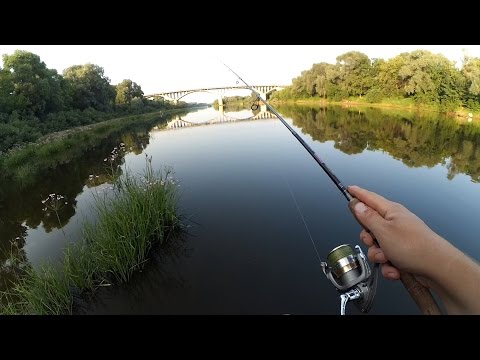 Видео: Рыбалка в жару - ловля без прикрас!