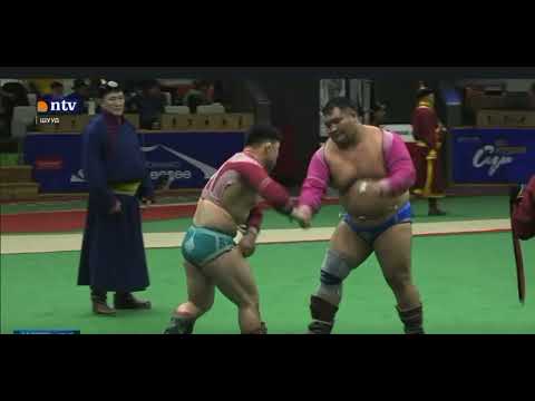Видео: Алтан цом 2-р тойрог тойм (Altan tsom 2r toirog toim)💪🔥🇲🇳