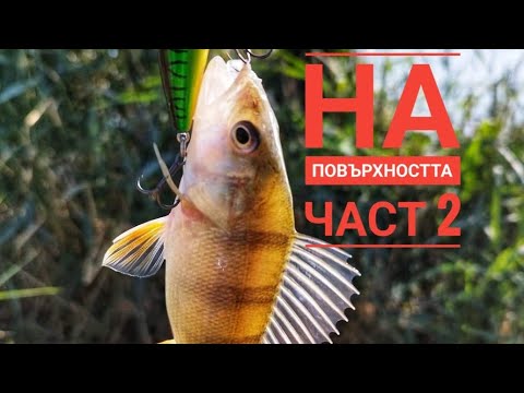 Видео: Костури на повърхността .Част 2