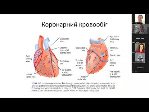 Видео: Фізіологія серцевої-судинної системи Мазур А.П.