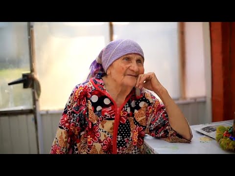 Видео: Рецепты от бабушки Любы -  любисток от 9 болезней