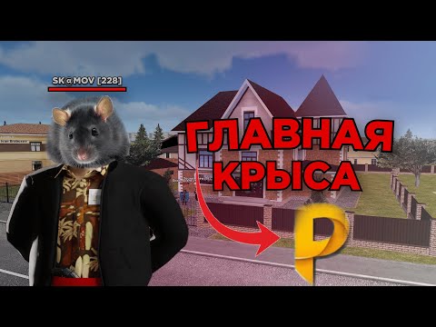 Видео: ГЛАВНАЯ КРЫСА POINT RP    #2