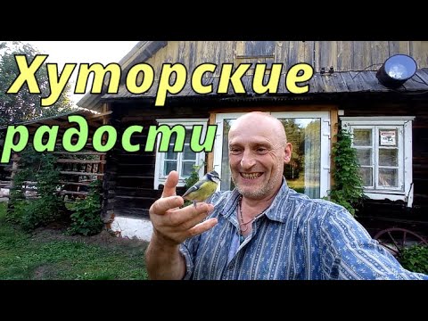 Видео: ХУТОРСКИЕ РАДОСТИ. СИНИЧКА в руках ЖУРАВЛИК в небе. НЕОБЫЧНАЯ жизнь на хуторе в БЕЛАРУСИ 58 выпуск