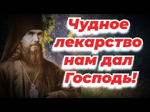 Видео: Что это за "Очень сильное лекарство", данное нам Господом? Феофан Затворник