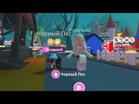 Видео: Я купила черный пёс ( в усынови меня )