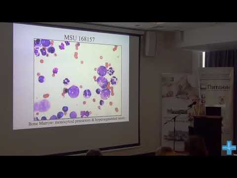 Видео: Клинические случаи гематологических неоплазий  1 часть