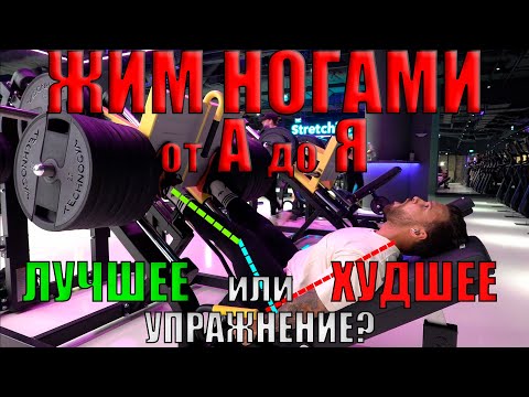 Видео: ВСЯ ИНФОРМАЦИЯ О ЖИМЕ НОГАМИ. МОЖНО ЛИ НАКАЧАТЬ ЯГОДИЦЫ? ПЛЮСЫ И МИНУСЫ ЖИМА НОГАМИ.