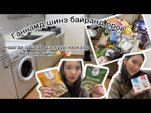 Видео: Зуучлалд тархидуулав🥲|Монголоос муухан түцнээс их юмтай🤌🏻😆🍫