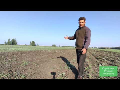 Видео: Пары это? Зачем важно ПАРОВАТЬ ПОЛЕ?