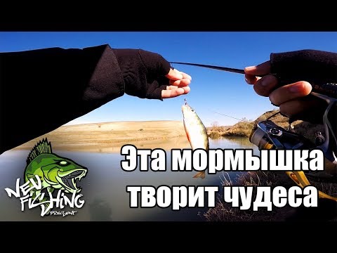 Видео: Мормышинг или как уйти от нуля! Рыбалка на 2 часа на егорлыкском канале