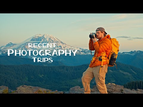Видео: Пленочная фотография в Чикаго, Нэшвилле и других местах!