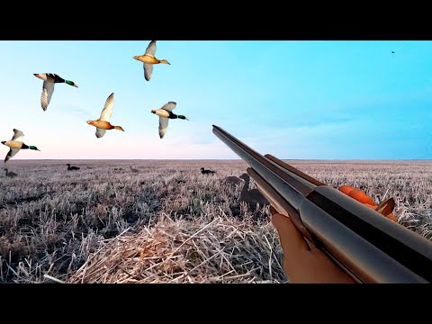 Видео: ОХОТА на УТКУ закрылись по снегу!!! Двухдневная охота 2025