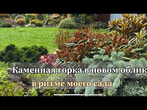 Видео: Обновлённая каменная горка: теперь она в едином стиле с садом 🌿