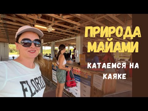 Видео: Как отдохнуть в Майами. Мангровые заросли и каякинг