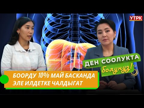 Видео: Кыргызстанда боорун май баскандар көбөйдү // "Ден соолукта болуңуз" берүүсү