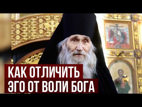 Видео: Это воля Бога или ваша слабость Илий Ноздрин дал точный способ, как отличить