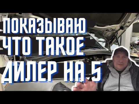 Видео: показываю каким должен быть официальный дилер гарантия skoda kodiaq