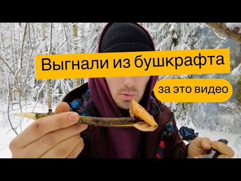 Видео: Каша из березы. / Костровой.
