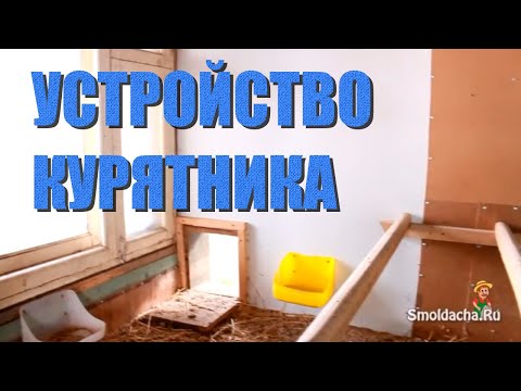 Видео: Устройство курятника - практические советы дачникам