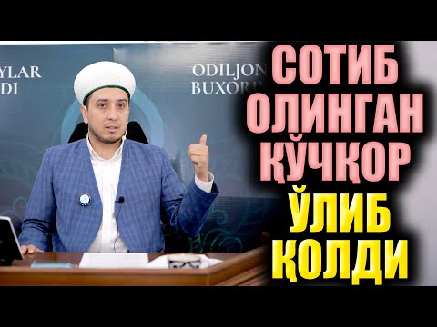 Видео: СОТИБ ОЛИНГАН ҚЎЧҚОР ЎЛИБ ҚОЛДИ. ИБРАТЛИ ҲИКОЯ