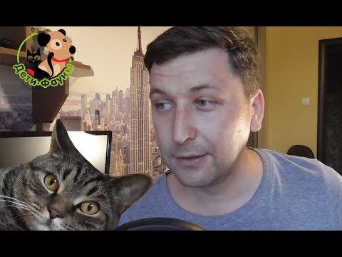 Видео: Какие могут быть осложнения после прививки? Чего желательно не делать, после вакцинации