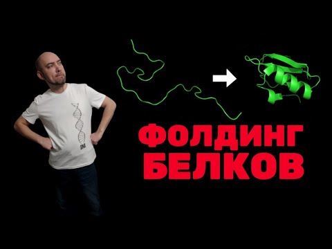 Видео: Что такое фолдинг белков? Душкин объяснит