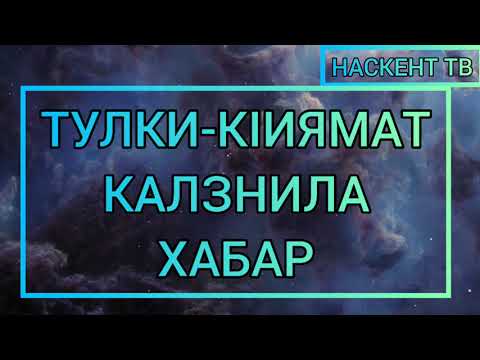 Видео: ТУЛКИ-КЬИЯМАТ КАЛЗНИЛА ХАБАР