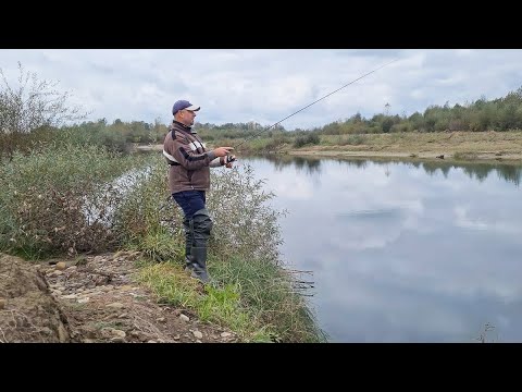 Видео: Рибалка на Пруті. Джиг показав себе непогано