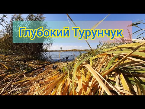 Видео: Осенняя РЫБАЛКА на Глубоком Турунчуке: "ДНЕСТР" Лучшее время и место👍