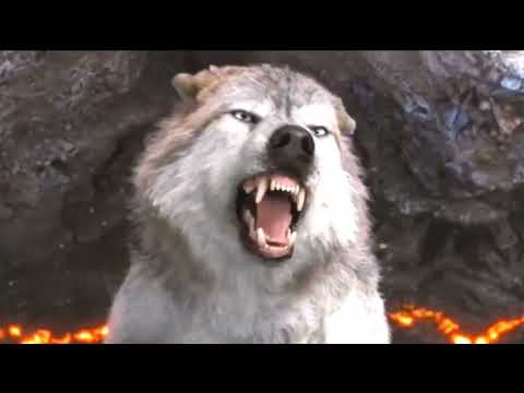 Видео: Дай жару