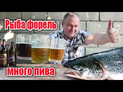 Видео: Копчёная Форель и много пива тернопольского разлива...