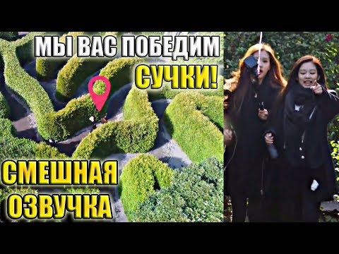 Видео: CHAENNIE VS LISOO | СМЕШНАЯ ОЗВУЧКА BLACKPINK