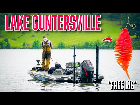 Видео: Эта приманка спасла меня от позора — Ultimate Angler Challenge, день 2